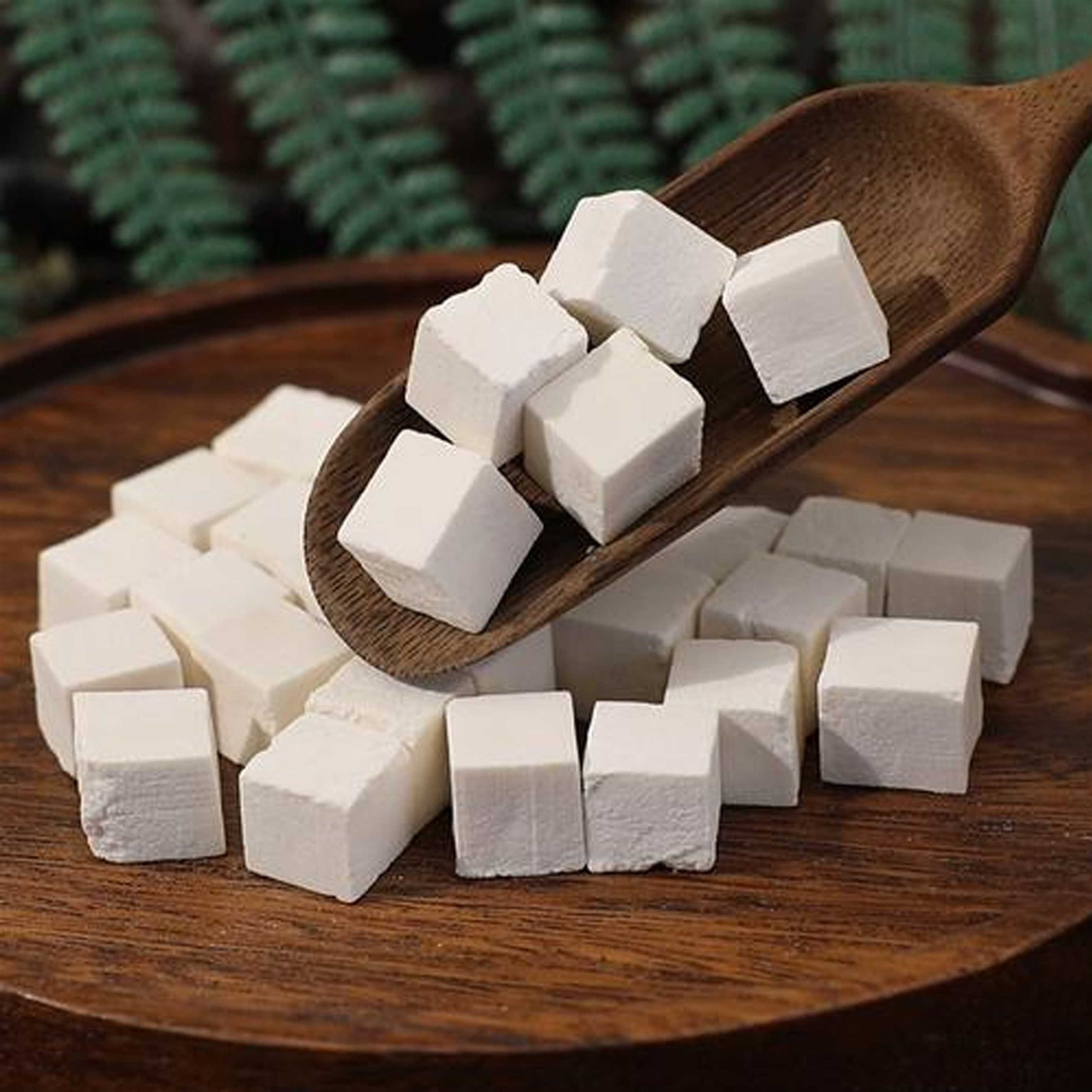 Poria Cocos powder Poria Cocos powder