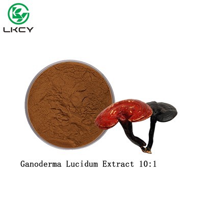 Reishi seene ekstrakt